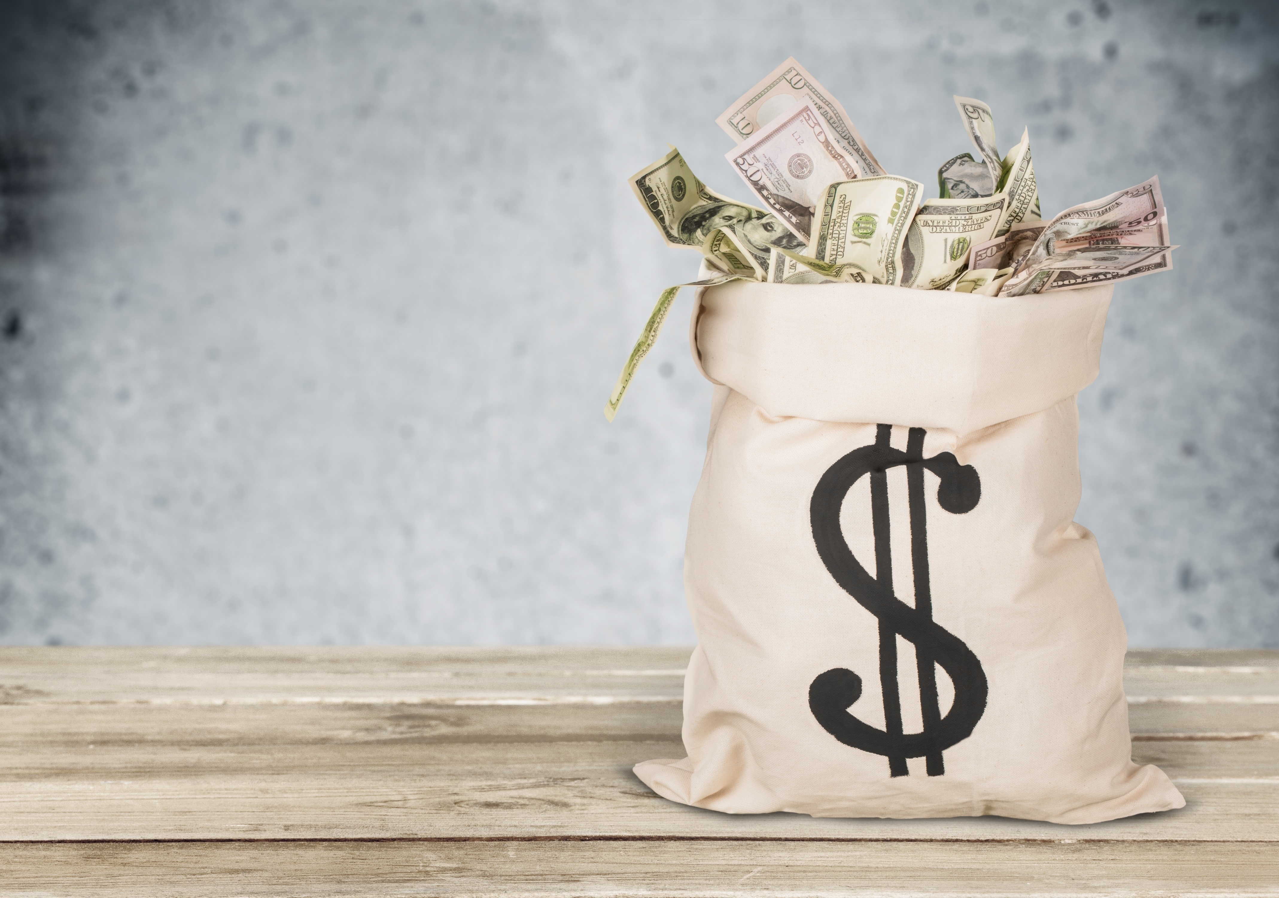 Money Bag
