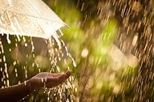 April Showers - Grand Prize Promotions