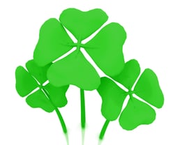 Green clovers isolated over a white background
